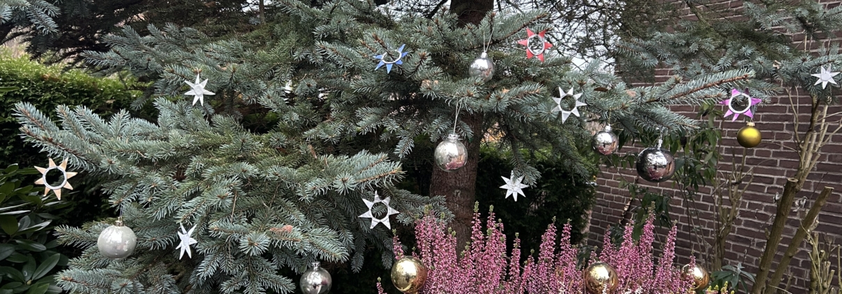 Sterne in einem Nadelbaum und einem Gesteck vor der Unterbacher Kirche