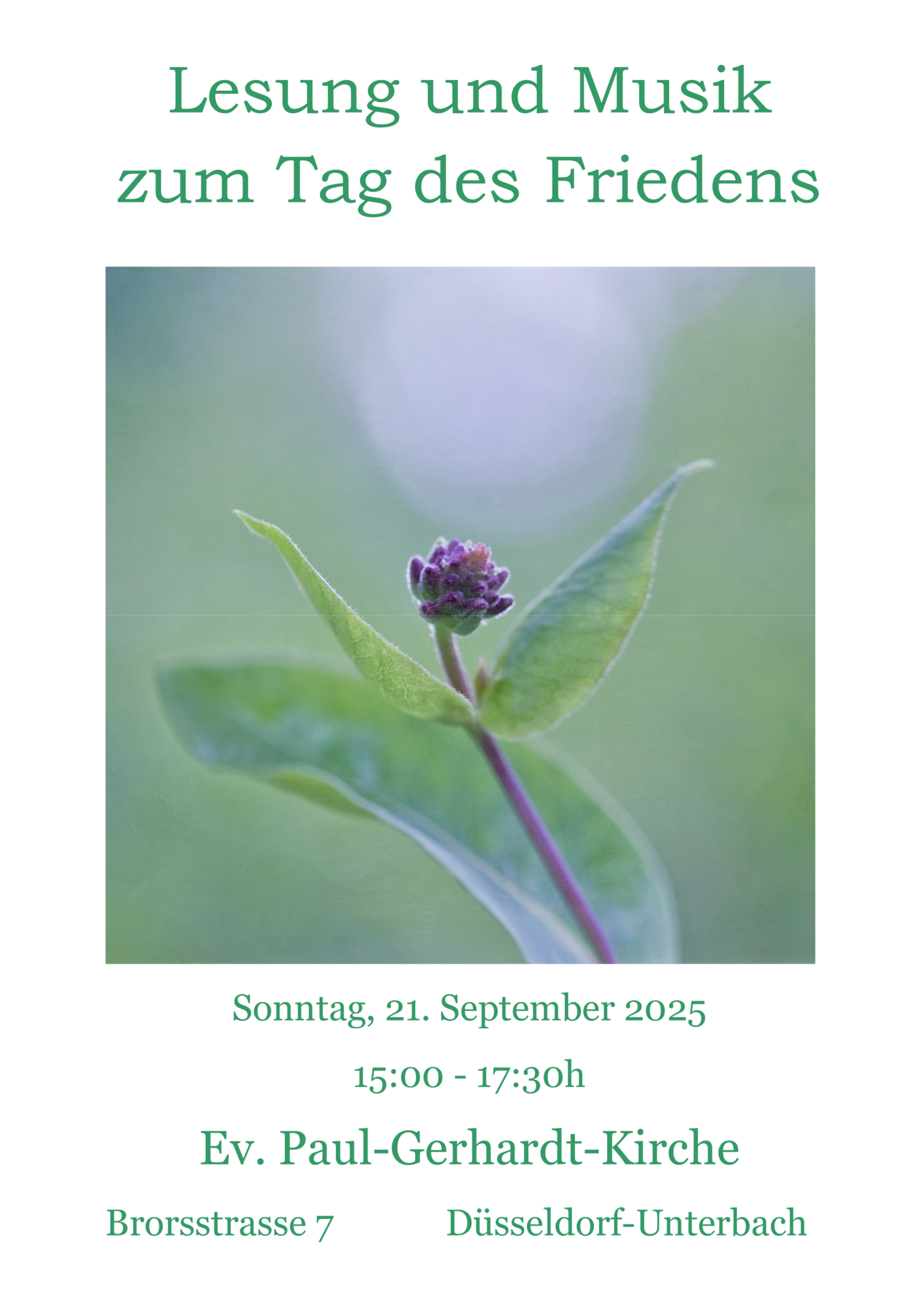 Microsoft Word - Plakat Friedenslesung 2025.docx