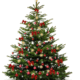 Ein glitzernder Weihnachtsbaum