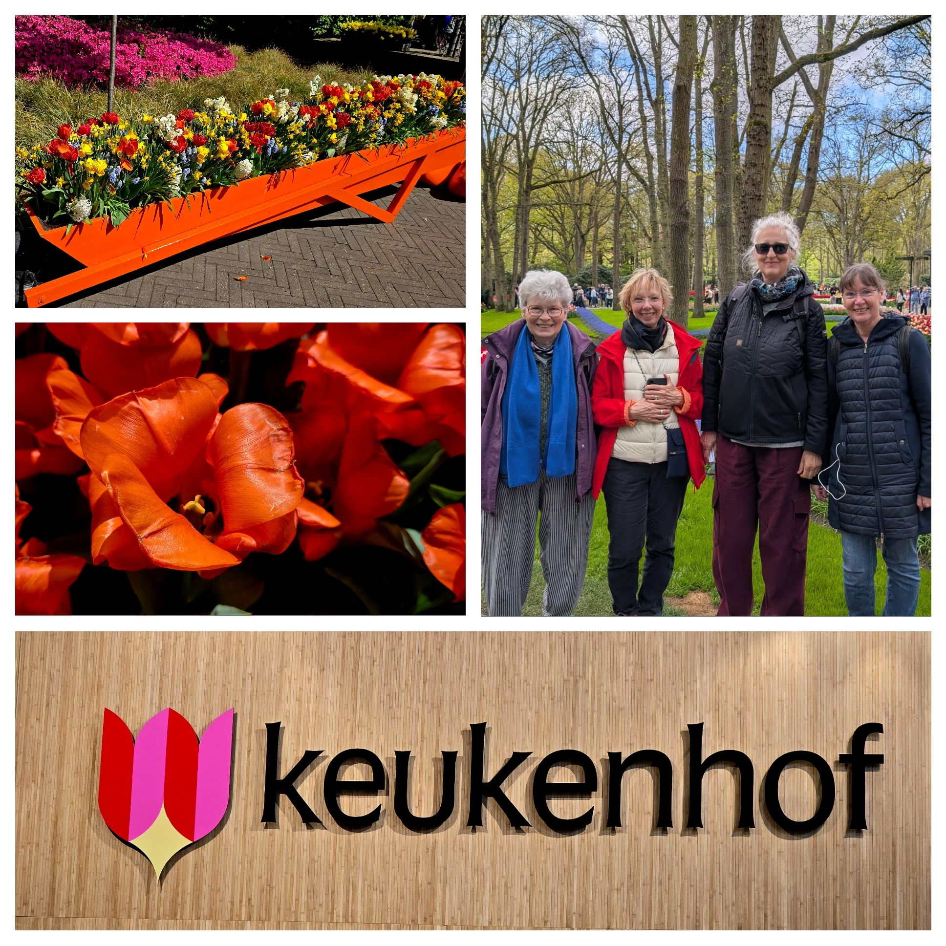 Keukenhof 5